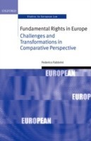 Fundamental Rights in Europe