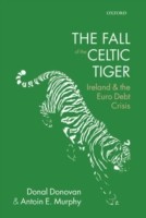 Fall of the Celtic Tiger