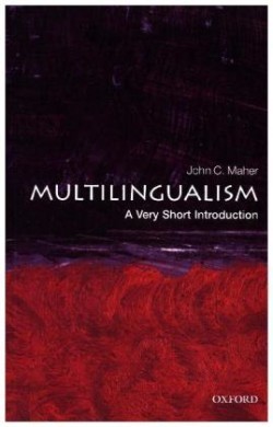 VSI Multilingualism