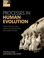 Processes in Human Evolution