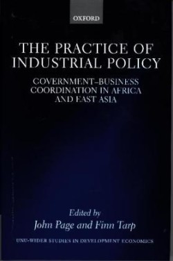 Practice of Industrial Policy