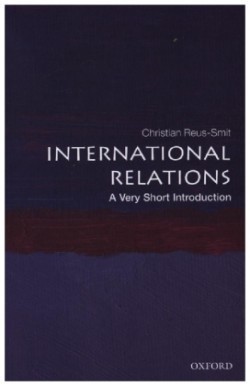 VSI International Relations