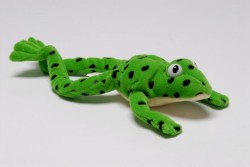 Miskin, Ruth - Read Write Inc.: Fred the Frog - Toy (Pack of 10)