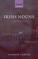 Irish Nouns A Reference Guide