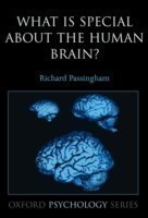 What is special about the human brain?