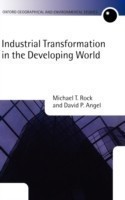 Industrial Transformation in the Developing World