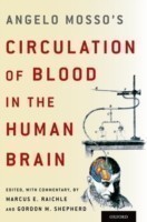 Angelo Mosso's Circulation of Blood in the Human Brain