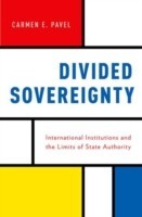 Divided Sovereignty