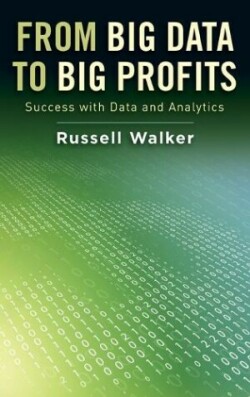 From Big Data to Big Profits