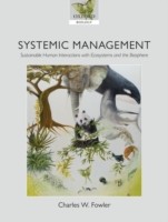 Systemic Management