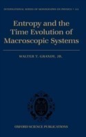 Entropy and the Time Evolution of Macroscopic Systems