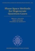 Phase Space Methods for Degenerate Quantum Gases