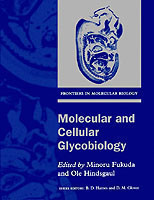 Molecular and Cellular Glycobiology