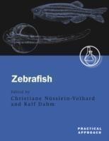 Zebrafish: Practical Approach