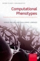 Computational Phenotypes Towards an Evolutionary Developmental Biolinguistics