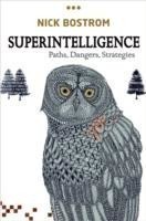 Superintelligence Paths, Dangers, Strategies