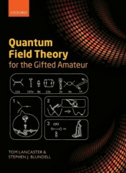 Quantum Field Theory for the Gifted Amateur