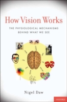 How Vision Works