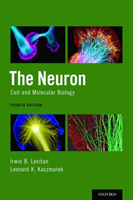 Neuron