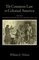 Common Law in Colonial America