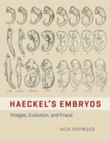 HAECKEL'S EMBRYOS - IMAGES, EVOLUTION, AND FRAUD