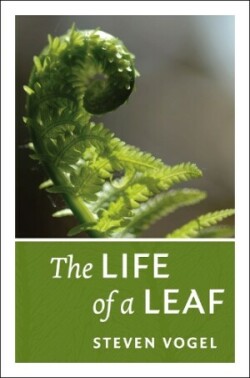 Life of a Leaf