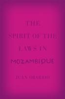 Spirit of the Laws in Mozambique