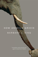 How Animals Grieve