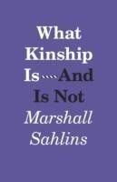 What Kinship Is-And Is Not