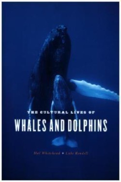 The Cultural Lives of Whales and Dolphins