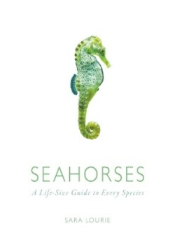 Seahorses