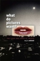 What Do Pictures Want?