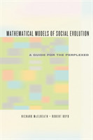 Mathematical Models of Social Evolution