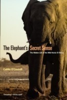 Elephant`s Secret Sense – The Hidden Life of the Wild Herds of Africa