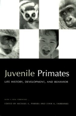 Juvenile Primates