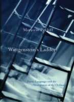 Wittgenstein´s Ladder