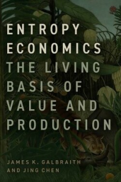 Entropy Economics