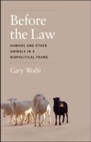 Before the Law