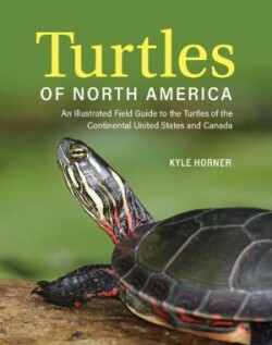 Turtles of North America