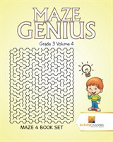 Maze Genius Grade 3 Volume 4