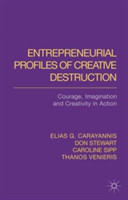 Entrepreneurial Profiles of Creative Destruction