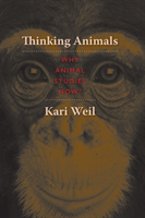 Thinking Animals