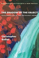 Shadow of the Object