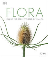 Flora Inside the Secret World of Plants