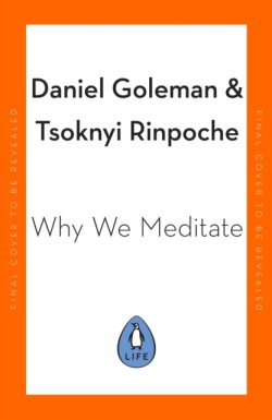 Why We Meditate