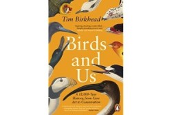 Birds and Us