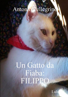 Gatto da Fiaba