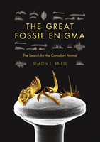 Great Fossil Enigma
