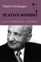 Plato's Sophist