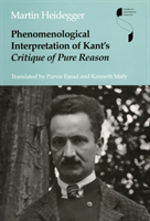 Phenomenological Interpretation of Kant's Critique of Pure Reason